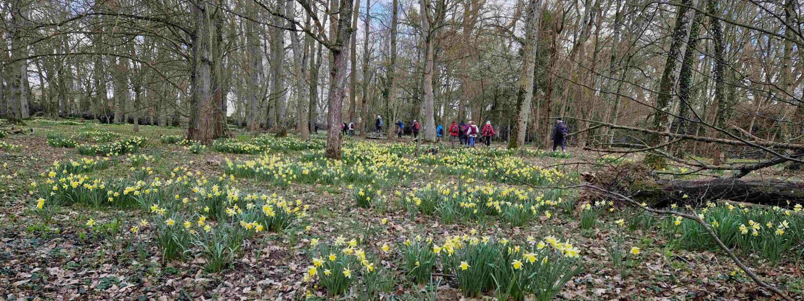 Retour sur la rando du 1er mars 2026