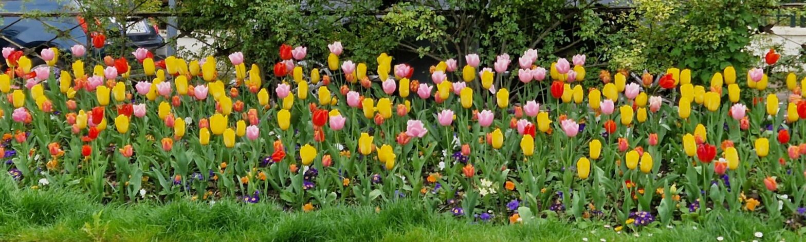 Retour sur la rando du 12 avril 2026