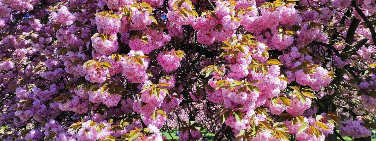 Retour sur la rando du 7 avril 2026